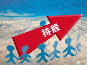 江淮汽車(chē)借轉(zhuǎn)讓股權(quán)謀復(fù)興，國(guó)資委接盤(pán)st安凱保殼有望技術(shù)推廣